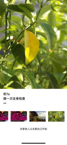 享恋爱app免费手机下载
