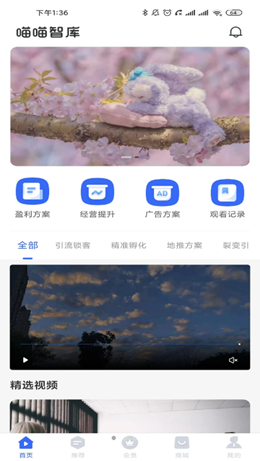 喵喵智库app