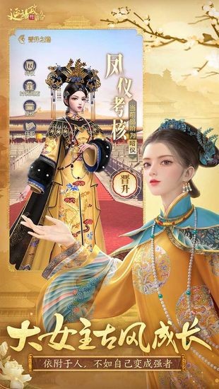 延禧攻略之凤凰于飞最新正式版