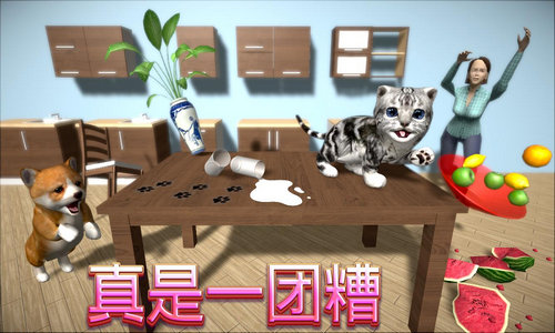 猫咪模拟器正版版