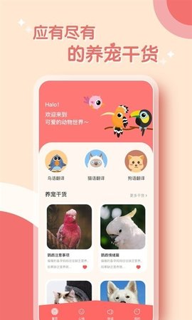 鸟语翻译器app安卓版最新