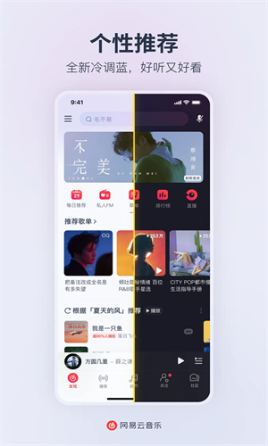 网易云音乐永久黑胶会员版