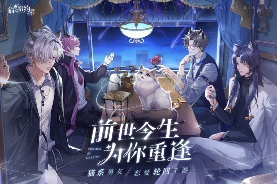 猫之宿约者九游新版本