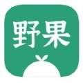 野果阅读极速版2023安卓版下载