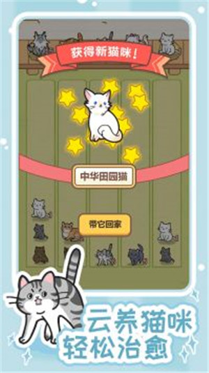 解压猫咪下载最新版