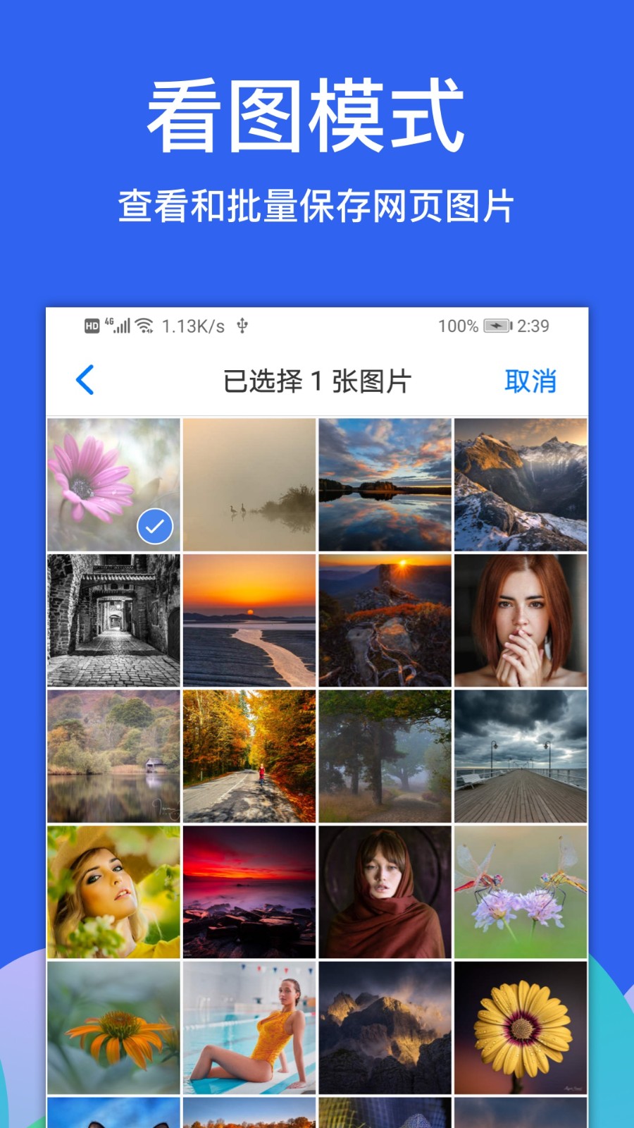 Alook浏览器ios免费