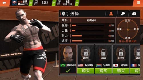 我的拳王男友游戏