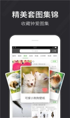 全自动壁纸安卓版app