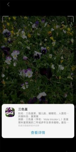 vivo语音助手下载