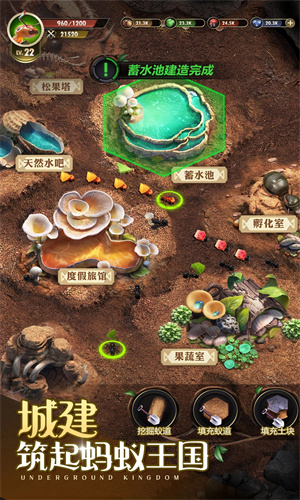 小小蚁国中文手机版免费下载