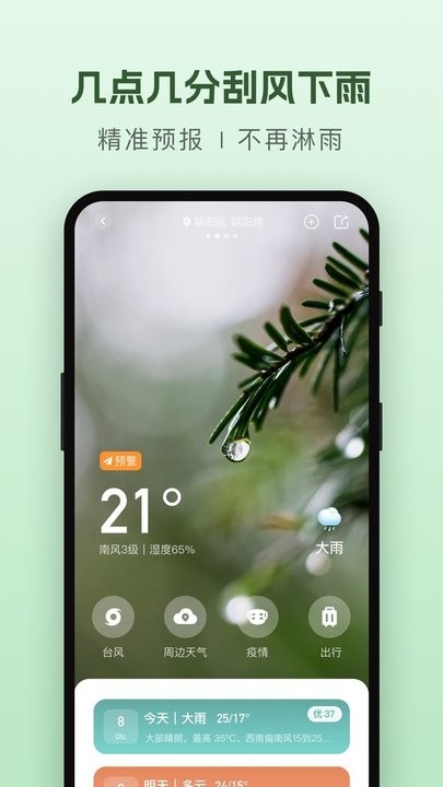 纯净天气预报app下载最新版