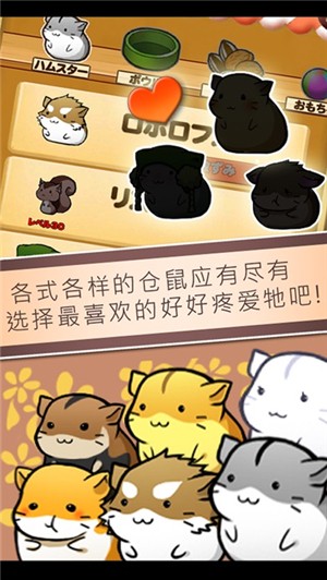 仓鼠的日常最新汉化版