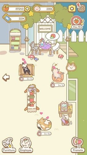 猫咪温泉中文版2023下载安卓