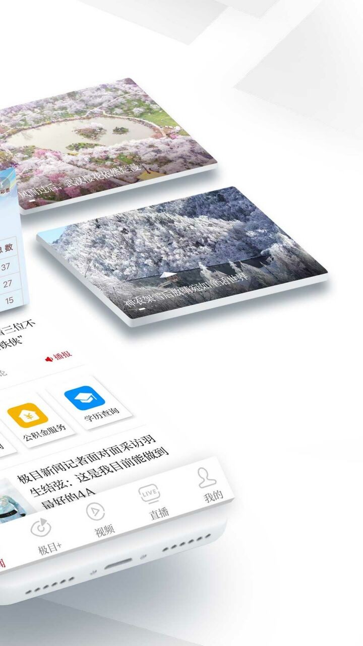 极目新闻