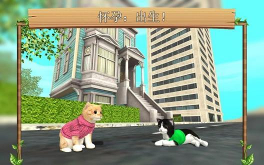 猫咪模拟最新中文版