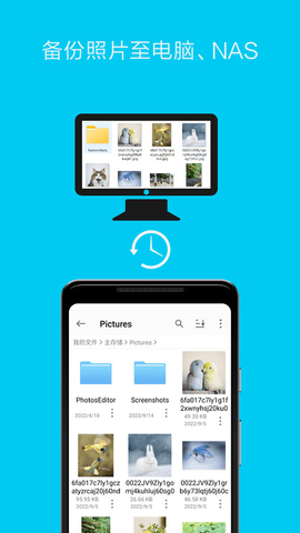 猫头鹰文件下载app