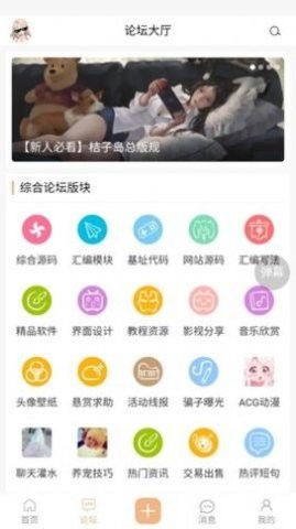 桔子岛app手机下载免费版