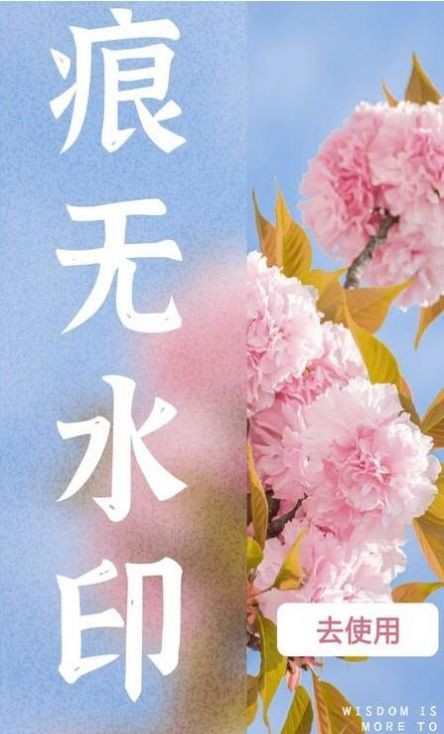 水印扣除苹果手机下载