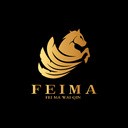 飞马外勤最新下载2023