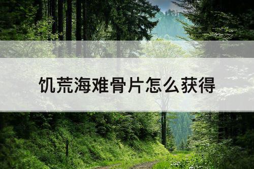 饥荒海难骨片怎么获得