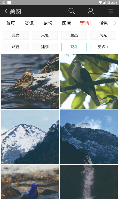蜂鸟图库最新安卓2023下载