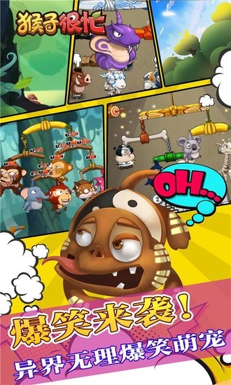 猴子很忙下载app