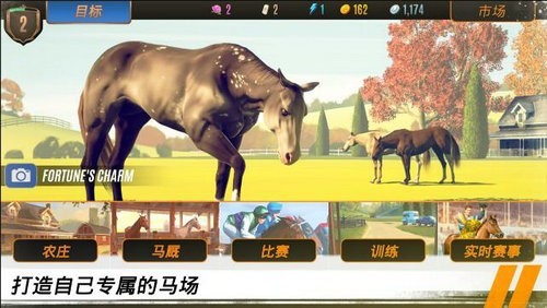 马匹养成竞技破解金币
