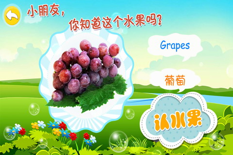 宝宝认水果游戏手机版