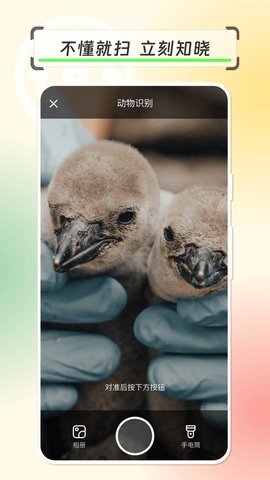 拍物轻松识app2023版最新下载