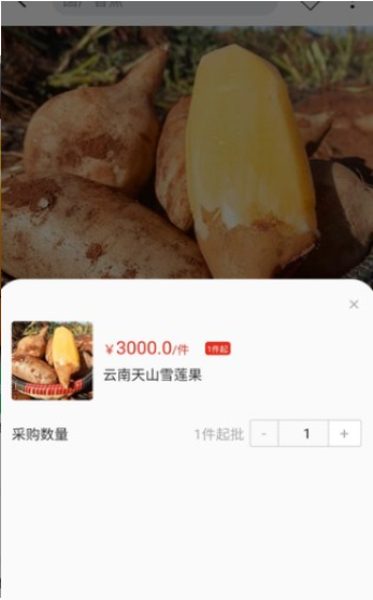 天蕉云果ios下载免费版
