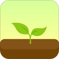 专注森林安卓版下载最新版