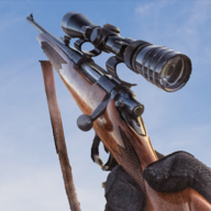 新狙击手3D汉化版无限金币版