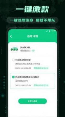 充电交管违章查询苹果免费版