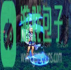 dnf绝版光环袖珍罐外观大全