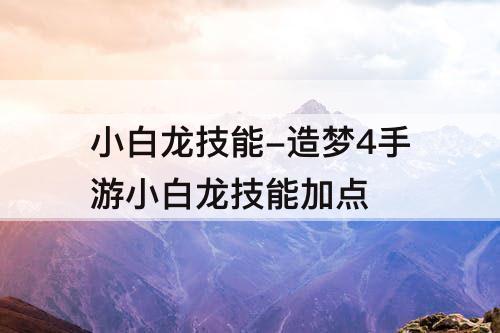 造梦4手游小白龙技能加点