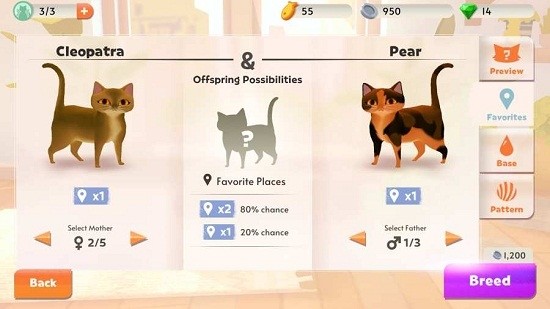 我的猫舍中文安卓版