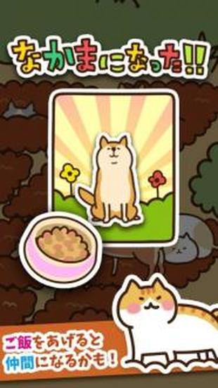 猫咪田园手机下载苹果版