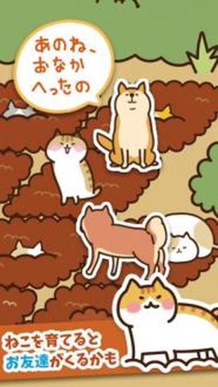 猫咪田园手机下载苹果版