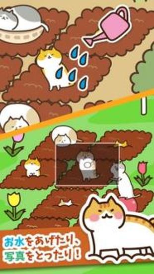猫咪田园手机下载苹果版