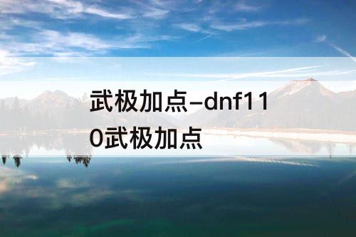 dnf110武极加点