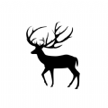 麋鹿记录仪app下载