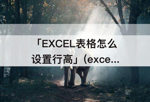 「EXCEL表格怎么设置行高」(excel表格怎么设置行高列宽一样)
