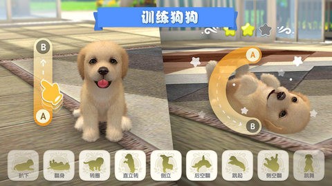 梦幻小狗无限钻石2023版下载