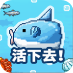 活下去曼波鱼安卓版下载