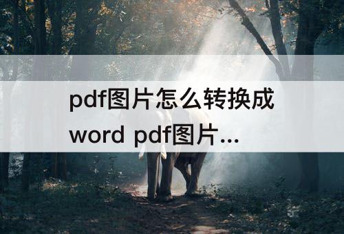 pdf图片怎么转换成word  pdf图片怎么转换成word文档格式乱码