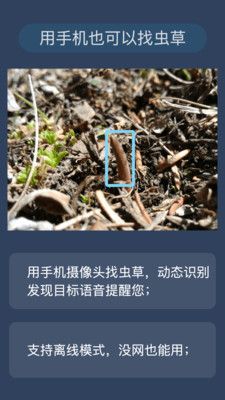 幸运之眼ai识别app软件下载