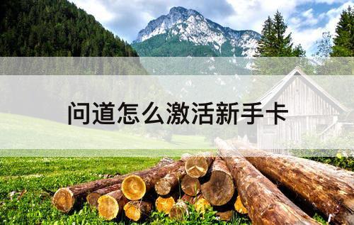问道怎么激活新手卡