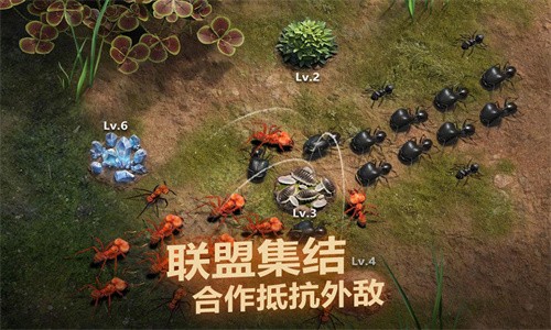 小小蚁国游戏