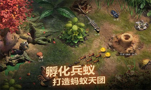 小小蚁国游戏