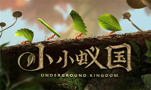 小小蚁国游戏